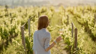 Le vin orange : un blanc vinifié comme un rouge