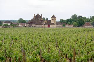 Où investir dans le vin : régions, circuits et précautions