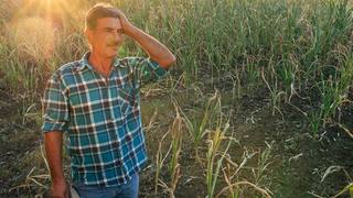 Recruter dans la vigne : un métier en tension