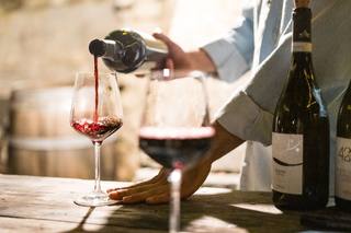 Le vin rouge : macération, tanins et vieillissement