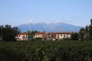 Les appellations qui donnent le plus pour leur prix