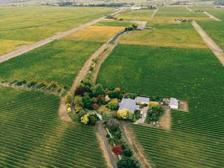 La viticulture de précision : capteurs, drones et données