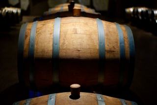 Barriques de chêne alignées dans un chai
