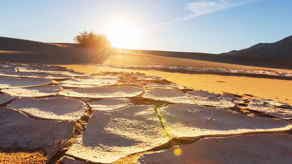 Des vendanges 2022 précoces