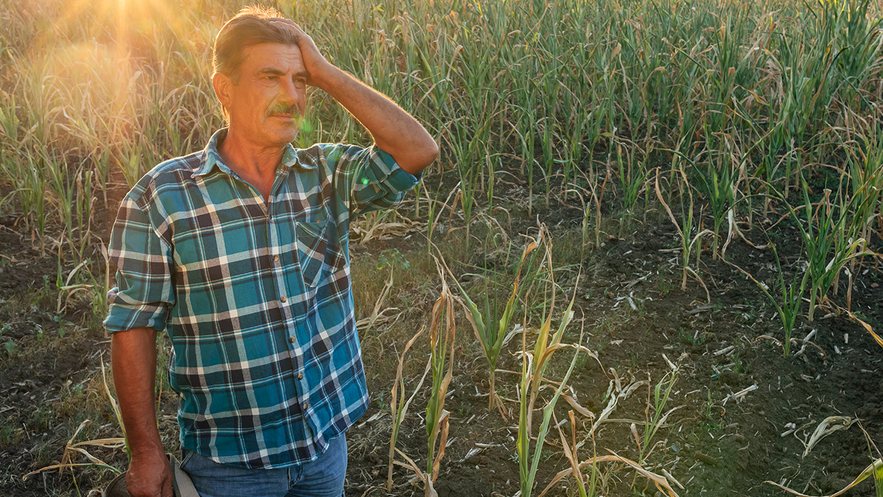 Les viticulteurs peinent à recruter dans l'Ain