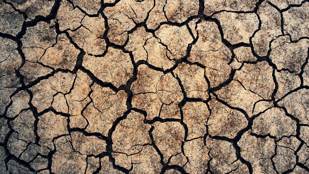 Sécheresse, les vendanges 2022 avancées d’une à trois semaines