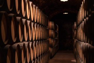 Quelle garde pour un vin, et dans quelle cave le ranger ?