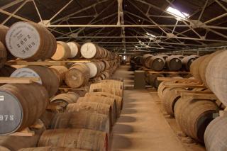 Investir dans le vin rapporte-t-il vraiment ?