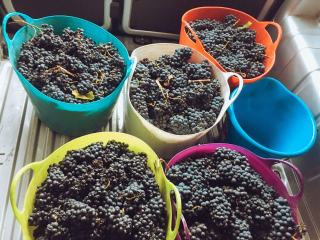 Comment se déroule un menu dégustation au restaurant ?